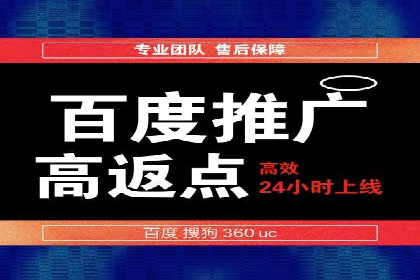 某某SEM团队成功案例：广告投放策略揭秘